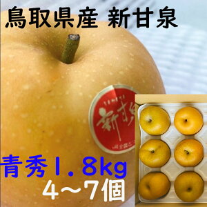 新甘泉 梨 贈答 青秀品 4〜7玉 大玉 約1、8kg鳥取県産 鳥取中央 秋 ギフト プレゼント のし 熨斗対応 指定日OK 御礼 お見舞い 贈り物 JA 農協品