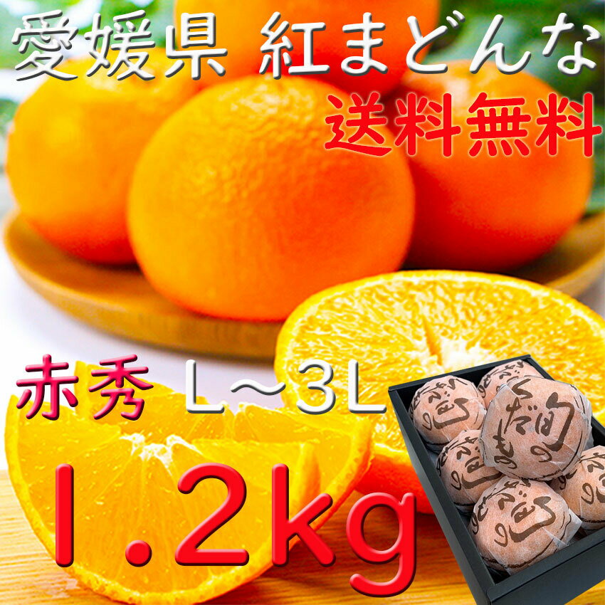 紅まどんな みかん 赤秀 個包装 お歳暮 愛媛県 1、2kg L〜3Lサイズ 送料無料 JAえひめ 光センサー選科 御歳暮 贈答 進物 ギフト 熨斗 プレゼント 指定日OKのサムネイル