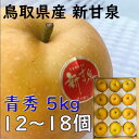 新甘泉 梨 贈答 青秀品 12~18玉 大玉 約5kg鳥取県産 鳥取中央 秋 ギフト プレゼント のし 熨斗対応 指定日OK 御礼 お見舞い 贈り物 JA 農協品