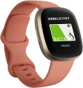 フィットビット スマートウォッチ メンズ Fitbit Versa3 Alexa搭載/GPS搭載 スマートウォッチ Pink Clay ピンククレイ L/S サイズ 日本正規品