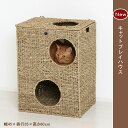 New キャットプレイハウス メーカー直送(4)