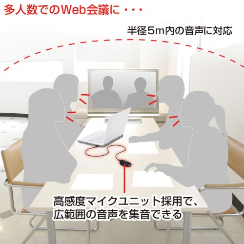 サンワサプライ WEB会議高感度USBマイク 無(全)指向性 MM-MCUSB22