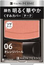 Kiss Me FERME(キスミーフェルム) フェルムブライトニングチーク 06 オレンジパール 2.9グラム (x 1)(4)