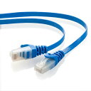 サンワサプライ LANケーブル CAT6 フラット (1m) ツメが折れないW構造 ブルー LA-FL6TS-01BL(2)