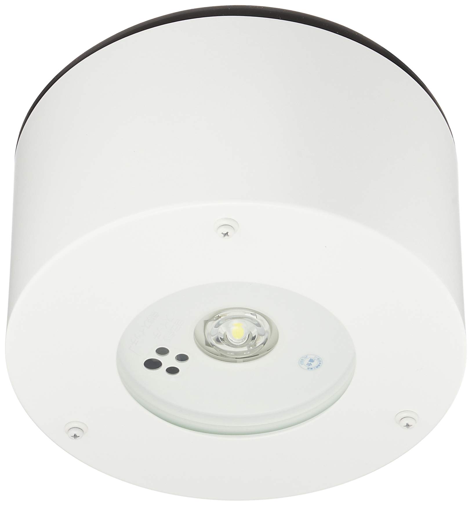 パナソニック LED非常用照明器具 直付 低天井用~3m 防湿型・防雨型 昼白色 NNFB91105J