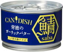 ケンコーマヨネーズ CANDISH saba 背徳のガーリックバター 150g×3個