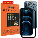 2枚液晶保護+2枚レンズ保護+ガイド枠 iPhone 12 Pro Max ガラスフィルム ガイド枠付き 指紋防止 iphone12ProMax 強化ガラス 6...