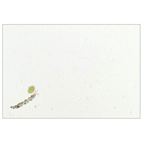 ナガオ ランチョンマット ケナフ わさび 25.7x36.4cm 100枚セット 日本製 30019