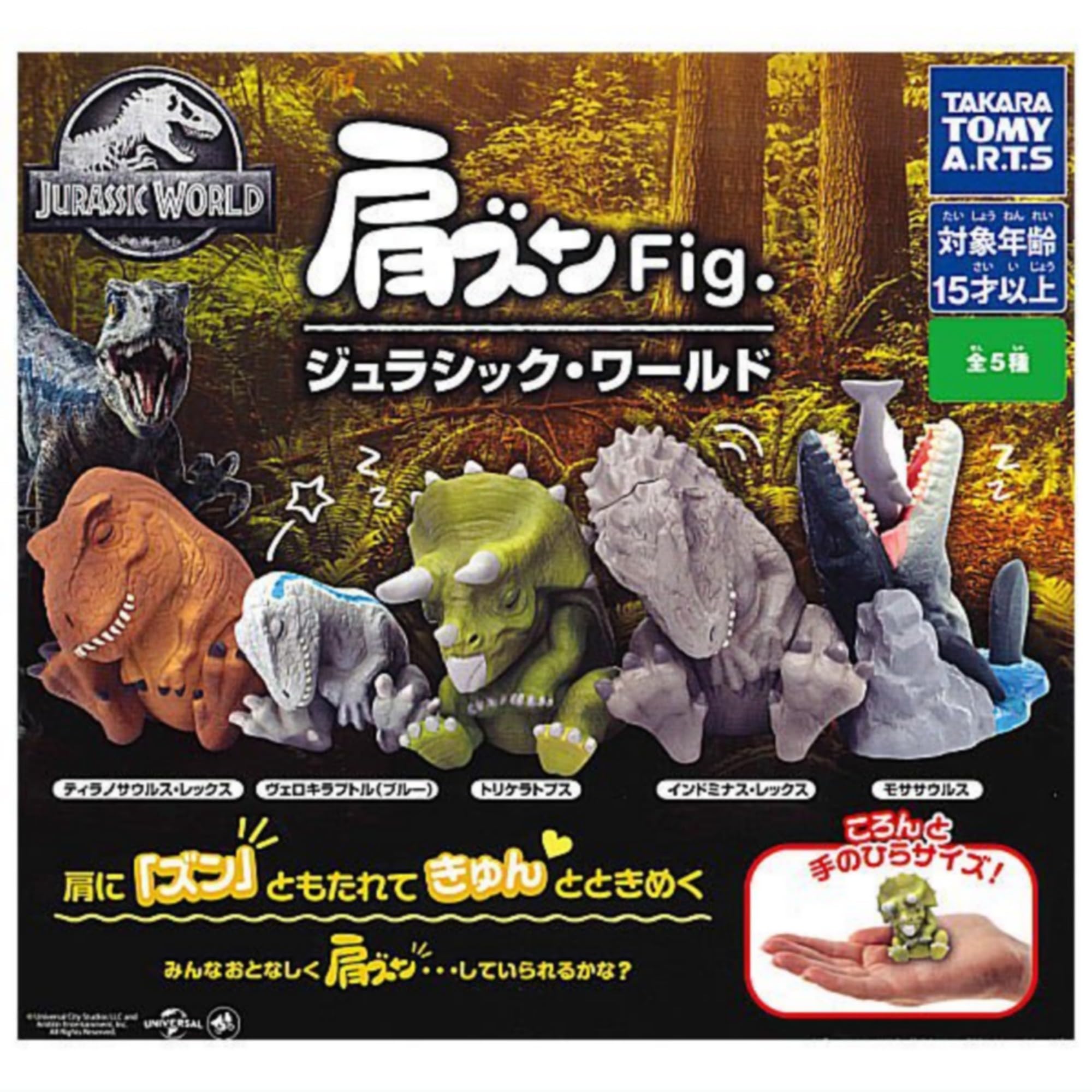 Fig. 饷å  5糧å ե륳 㥬 ץȥ