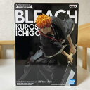 BLEACH Soul Entered Model-黒崎一護-