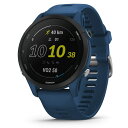 ガーミン(GARMIN) Forerunner 255 ランニングウォッチ Tidal Blue日本正規品 バンドサイズ22mm