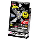IPF ライセンスランプ ナンバー灯 LED T10 バルブ 6500K 250lm 全方向照射 純正球同等サイズ 小型ショートタイプ 狭小・斜め・横挿し対応 ...