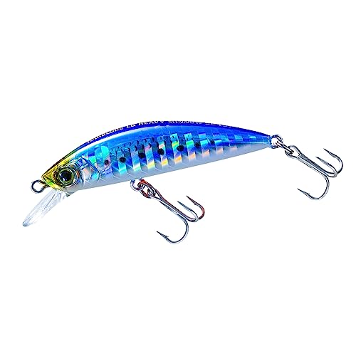 DUEL(デュエル) HARDCORE(ハードコア) ルアー ヘビーシンキングミノー ハードコア LG ヘビーミノー (S)..