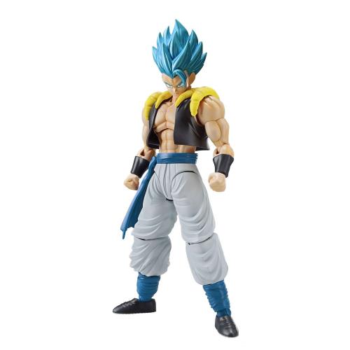 BANDAI SPIRITS(Х ԥå) ե奢饤 ɥ饴ܡ ĶͥåĶͥ ʬ...