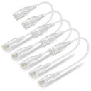 Ankuly Cat6A LANケーブル 短い ランケーブル 0.3m 10本セット RJ45コネクタ 10Gbps サーバー 企業様向け イーサネット 有線lan 全長さ30cm 業務でも家庭でも