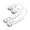Ankuly Cat6A LANケーブル 短いランケーブル 0.15m 24本セット RJ45コネクタ 10Gbps サーバー 企業様向け 業務用 有線ケーブル ホワイト 家庭用