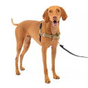 PetSafe イージーウォークハーネス (M, フォーン&ブラウン)