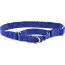 PetSafe(ペットセーフ)犬用首輪 プレミアカラー ロイヤルブルー Pサイズ(幅1cm)