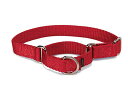 PetSafe(ペットセーフ)犬用首輪 プレミアカラー レッド Sサイズ(幅1.9cm)