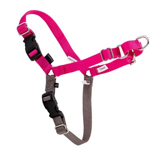 [ ペットセーフ ] Petsafe 犬用 ハーネス イージーウォーク 中型～大型犬 M/L サイズ Easy Walk Harness M/L EWH-HC-M/L-RAS ラズベリーピンク/グレー Raspberry 散歩 トレーニング ペット 犬 [並行輸入品]