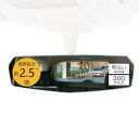 カーメイト(CARMATE) 車用 ルームミラー 3000SR リアビューミラーエッジ 300mm 高反射 DZ558
