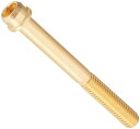 キタコ(KITACO) ビビッドボルト 24Kコーティング M6×P1.0×55mm 1個入 0901-060-00011