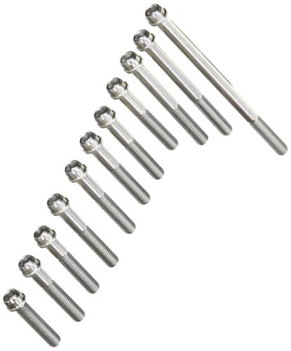 キタコ(KITACO) ビビッドボルトセット(ステンレス素地) モンキー(MONKEY)/ゴリラ/CD50/ベンリィ50S等 060-1123200