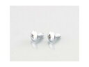 キタコ(KITACO) ウインカーボディ用ビス トラスタッピング クローム 5X16/2個入り KCON 0900-056-09102