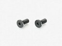 キタコ(KITACO) ローヘッドスクリュー T10 4x20mm 汎用 RENY 0900-044-00020