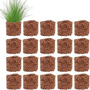 DFsucces 水生植物固定リング 底砂 溶岩石 水草の固定 水槽オーナメント 濾過材料 花壇 金魚 水草 苔盆栽 水族館装飾水槽アクセサリー (20個セット...