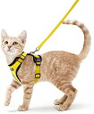 Rabbitgoo 猫 ハーネス リード セット 抜けない ソフト胸あて 軽量 超小型犬 小型犬 猫 散歩 用 ハーネス 胴輪 足を上げず装着完成 サイズ調節可...