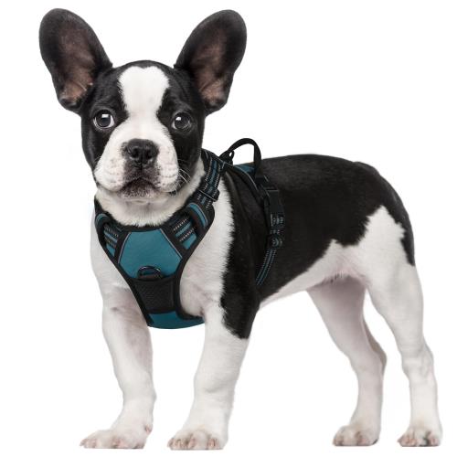 Rabbitgoo 犬 ハーネス 小型犬 5-15KG ソフト かわいい 犬用胴輪 引っ張り防止 負担が少ない首輪 サイ..