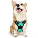 Rabbitgoo 犬 ハーネス 中型犬 13-20KG ソフト かわいい 犬用胴輪 引っ張り防止 負担が少ない首輪 サイズ調整可 夜間反射 抜けない 通気性 咳き込み防止 散歩 歩行補助 老犬介護 しつけ 運動向き 犬 小型犬 大型犬 柴犬 秋田犬(ミントグリーン)