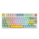 EPOMAKER TH80 Pro ワイヤレスゲーミングキーボード3モード(2.4Ghz/Bluetooth 5.0/USB-C有線)メカニカルキーボード ホットスワップ対応 RGBバックライトWindows/Mac/PS5/PS4/Xbox用 技適認証取得 (Theory, Gateron Pro Black)