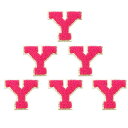 PATIKIL 6枚セット アルファベットY 刺繍ワッペン 英語字母 男女ワッペン アップリケワッペン 靴用帽子バッグジーンズ DIY ローズレッド