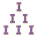PATIKIL 6枚セット アルファベットI 刺繍ワッペン 英語字母 男女ワッペン アップリケワッペン 靴用帽子バッグジーンズ DIY パープル