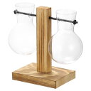 PATIKIL 植物用繁殖花瓶 木製スタンド付き 卓上植物テラリウム 2ハートガラス植物花瓶 水耕栽培花瓶 ホームオフィスの装飾用 ウッドカラー