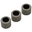 デイトナ(Daytona) バイク用 DWR ウエイトローラー φ16×13mm 6.0g 方向指定なし 3個セット 90418