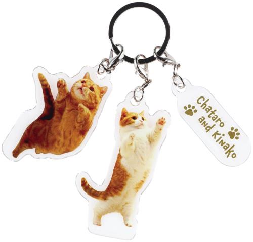 スケーター(Skater) 3連 アクリル キーホルダー 茶太郎ときなこ 猫 ネコ 短足兄妹 ZKHT1-A
