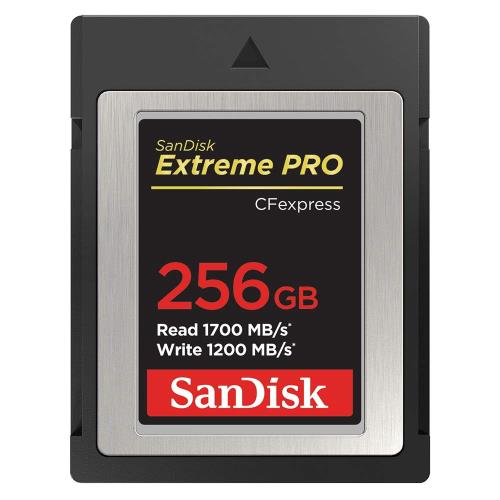 SDCFE-256G-JN4NN (256GB)