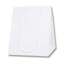 ヘイコー 手提げ 紙袋 アレンジバッグ 3S 白無地 195×195×さ240mm 10枚 006441104