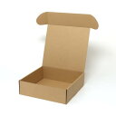 ケース販売HEIKO 箱 ナチュラルボックス Z-5 無地 006200510 1ケース(10枚入×5袋 合計50枚)(4)