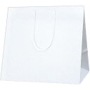 ヘイコー 手提 紙袋 マチ広 アレンジバッグ L シロ 44x29.5x42cm 10枚