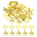 PATIKIL レザーリベット 12x4x10mm バー 100セット ワッシャー 真鍮ファスナー 留め具 皮革工具 手芸パーツ メタルスタッド ポスト レザー...