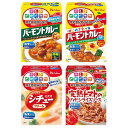 ハウス 特定原材料8品目不使用4種アソート(バーモント中辛/はじめて食べるやさしい甘口/シチューミクス/完熟トマトのハヤシライスソース)セット買い