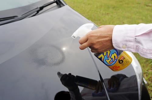 ���ե�99(SOFT99) �ե��ԥ� ��å��� WAX �ե��ԥ��ȥꥬ�����ϥ�����2.0 ��ư�������������ڤ��ݸ��Ф��� 00542