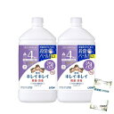 キレイキレイ 薬用 泡 ハンドソープ フローラルソープの香り 殺菌 消毒 医薬部外品 詰替 800ml 2個セット +咲耶姫STOREオリジナルくじ