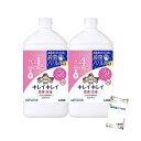 キレイキレイ 薬用 泡 ハンドソープ シトラスフルーティの香り 殺菌 消毒 医薬部外品 詰替800ml 2個セット +咲耶姫STOREオリジナルくじ