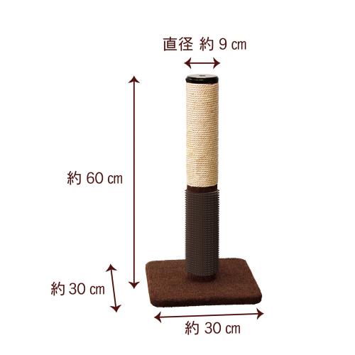 ����ƥ����ޥ� �����롼�� �ͤ������ޤߤ����ݡ���