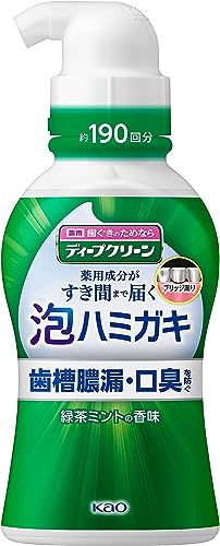 ディープクリーン 泡ハミガキ 190ml 〔医薬部外品〕 190ミリリットル (x 1)